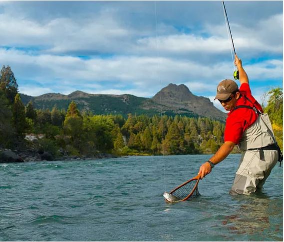 Suspensión de la evaluación del Tribunal de Pesca Deportiva del 2020