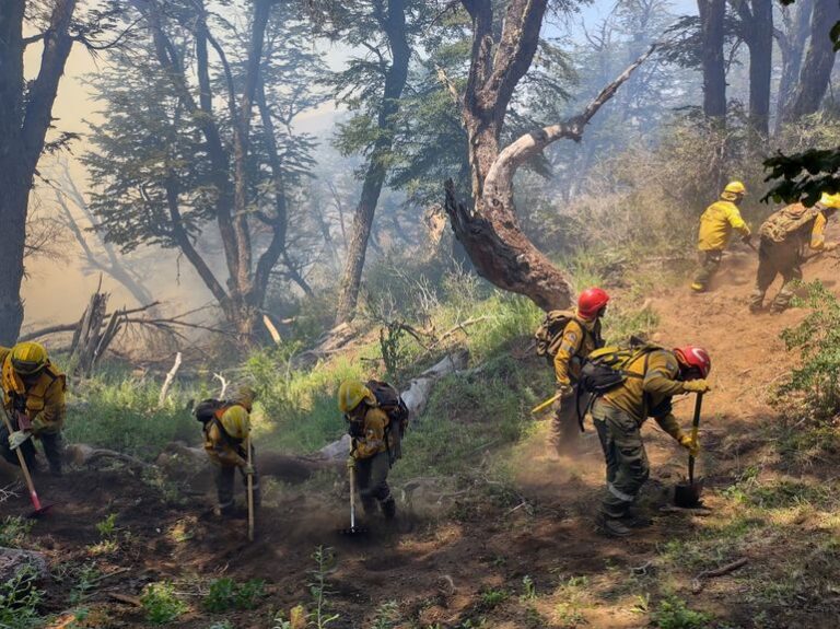 Llegó el agua a Quillén y se respira esperanza