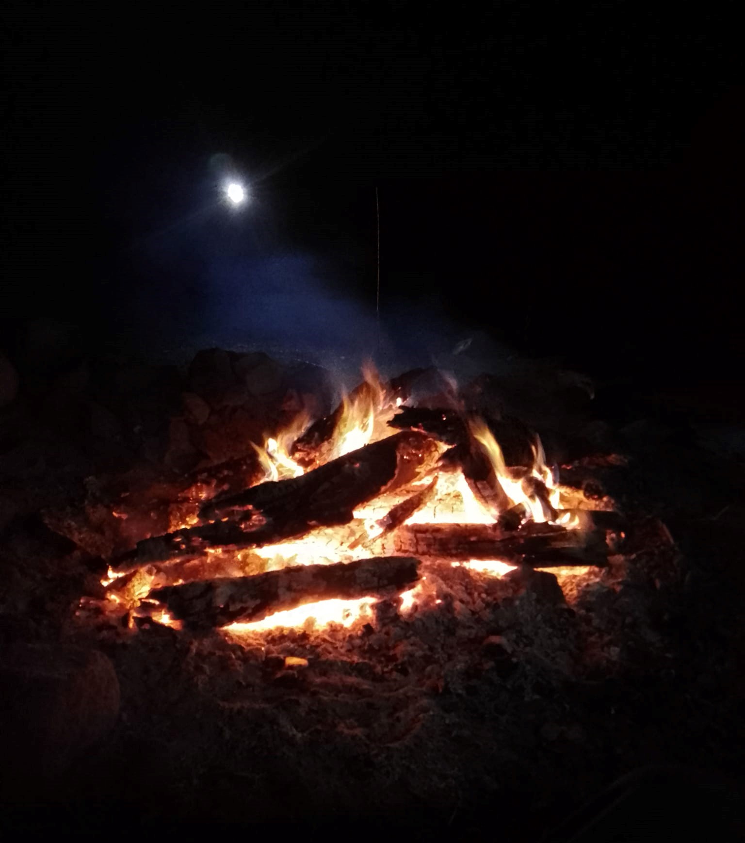 El Parque Nacional Lanín infraccionó por fogones en lugares no habilitados