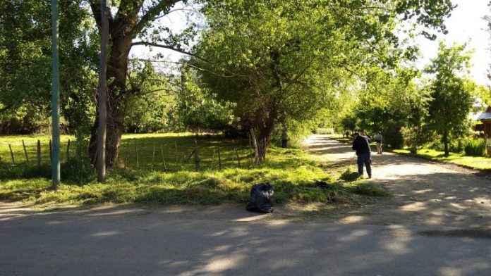 Los propietarios y o responsables de lotes baldíos, casas abandonadas o predios forestados deben mantenerlos en buen estado de conservación y mantenimiento