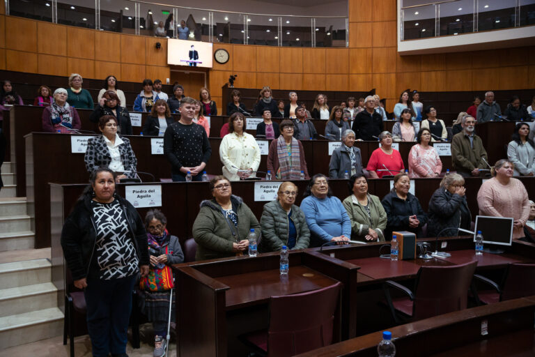 El Parlamento de Adultos Mayores Activos recibió a referentes de la región sur en su 4ta sesión especial