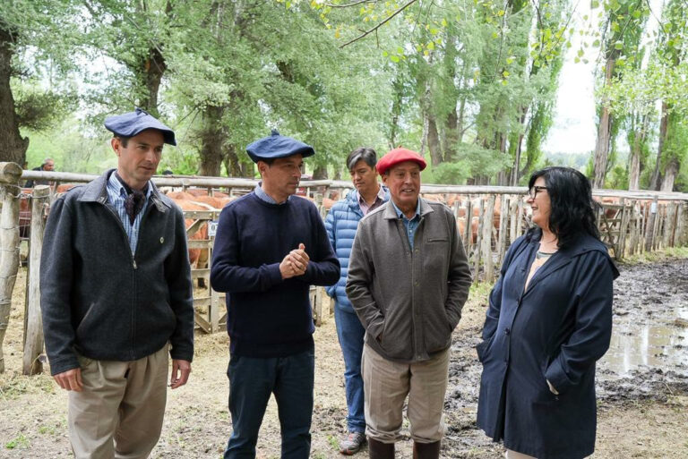 Koopmann destacó el rol clave de la ganadería para consolidar la ampliación de la matriz productiva