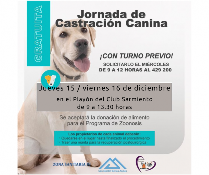 Jornadas de castración canina: el Quirófano Móvil se instalará en el playón del Club Sarmiento el 15 y 16 de diciembre thumbnail