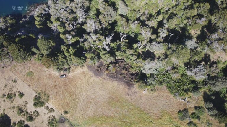 Se logró extinguir incendio forestal en Huechulafquen