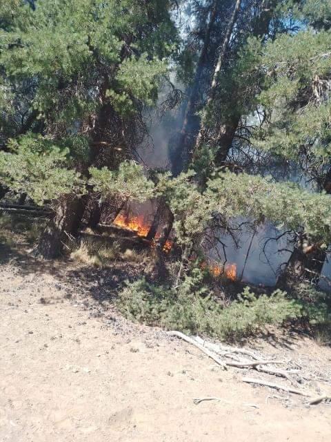 Varias instituciones colaboraron en el incendio del cerro Los Pinos