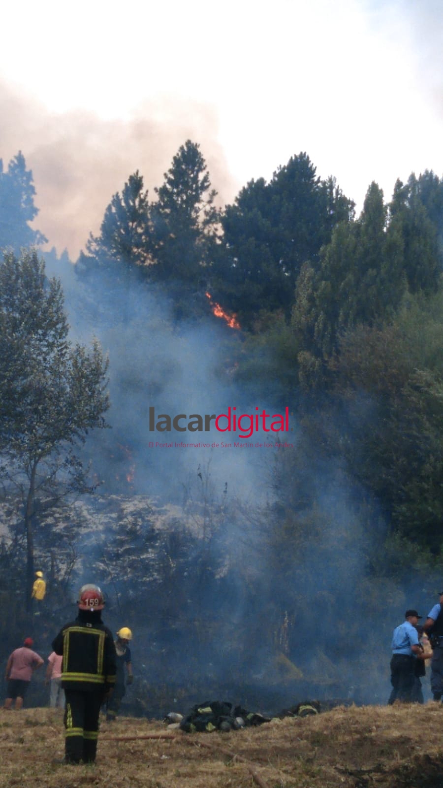 Incendio barrio Los Radales: el fuego comenzó en una vivienda y se propagó hacia el bosque