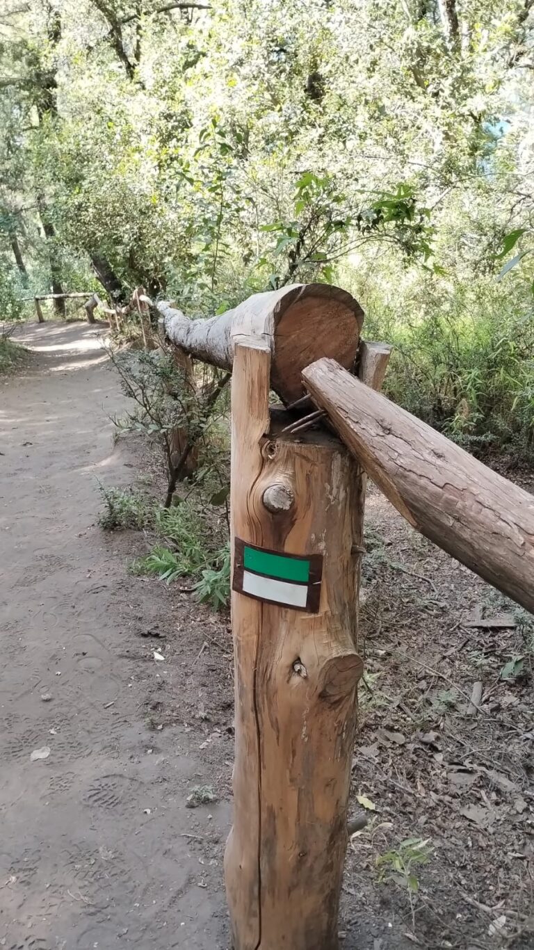 Demarcación del camino habilitado al Mirador Bandurrias