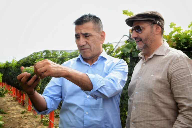 Rioseco apunta a potenciar la vitivinicultura