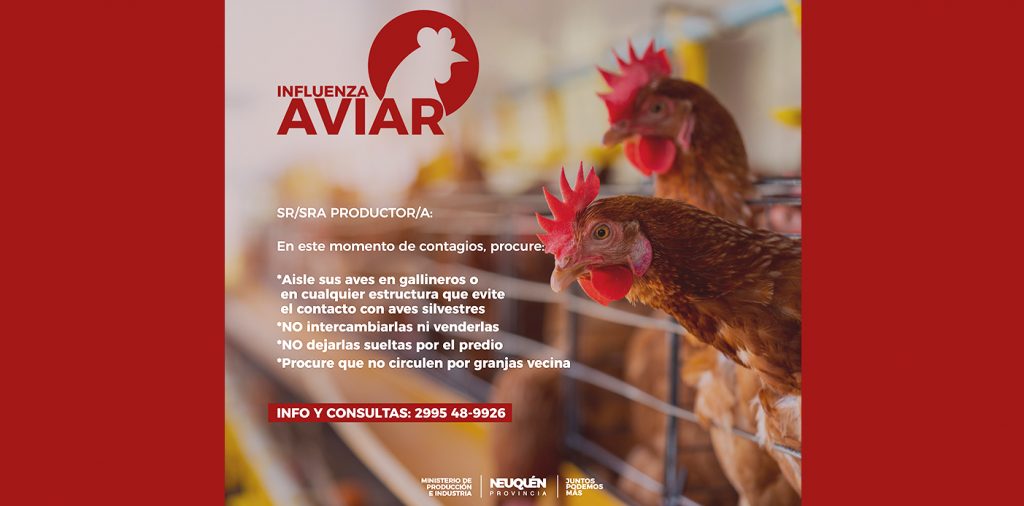 Refuerzan medidas por nuevos casos de gripe aviar en la provincia thumbnail