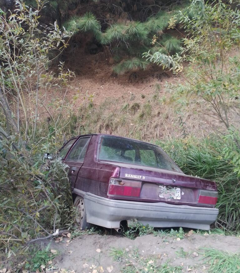 Un perro se cruzó en la ruta y un vehículo despistó sobre la calzada