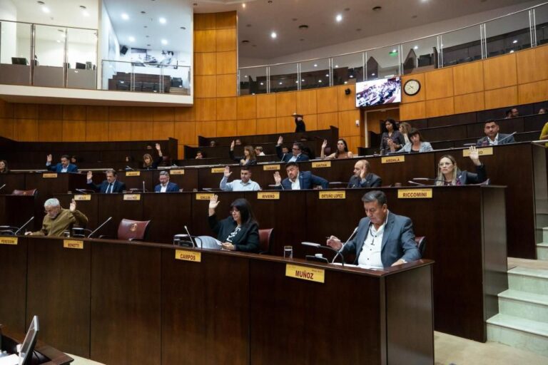 Rechazan declaración de la Legislatura de Mendoza que asegura que los mapuches no son pueblos originarios