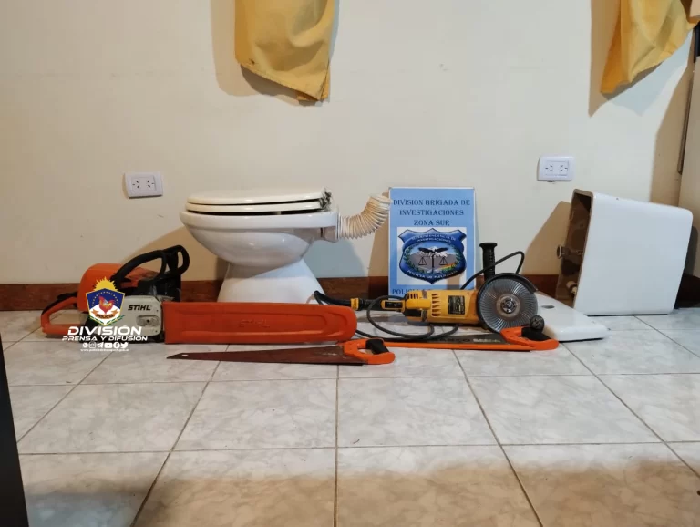 Tres allanamientos por robos en la ciudad lacustre