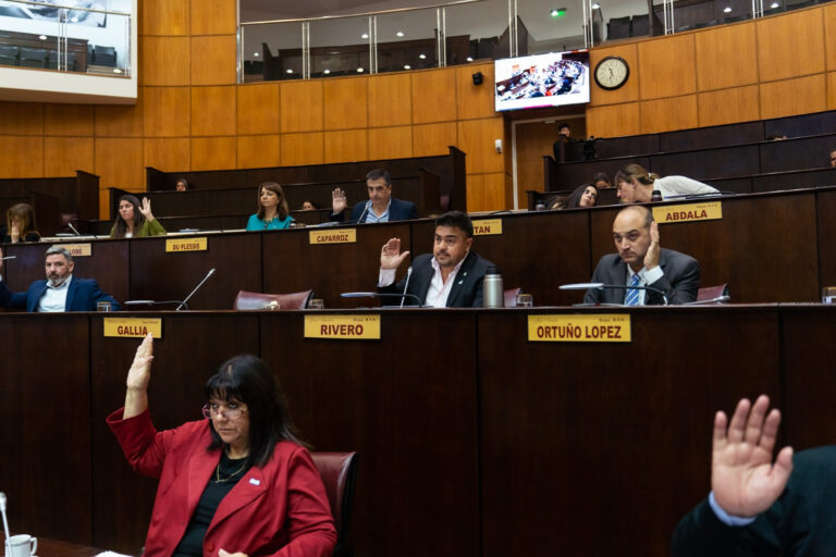 La Legislatura sancionó la ley que instituye  la «Semana del Síndrome de Williams”