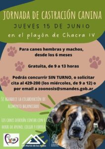 Hoy podés pedir turnos telefónicos para la jornada de castración canina en el playón del Chacra IV