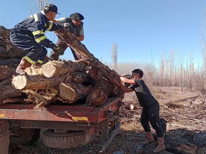 Sauzal Bonito pide leña, agua y alimento para animales