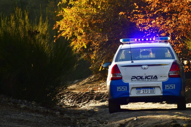 San Martín de los Andes: Varios allanamientos por Lesiones Agravadas