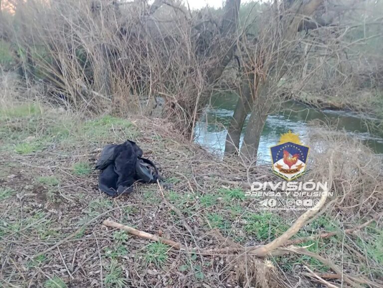 Huía en calzoncillos y lo atraparon en el barrio Villa Paur
