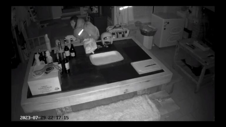 Salieron a cenar y les robaron en la casa: Todo quedó filmado