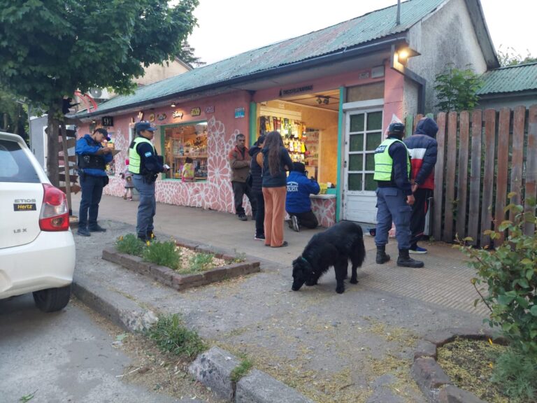 Le pegó una piña al can de Antinarcóticos porque lo marcó cuando caminaba
