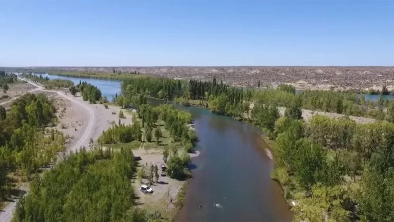 Hallaron el cuerpo de Rosana Artigas en un tambor de 200 litros flotando en el río Limay