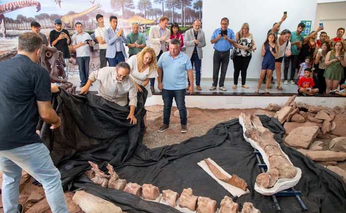 Presentaron un nuevo Gigante en Villa El Chocón