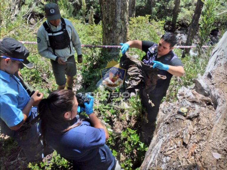 Turistas encontraron restos óseos de una persona en Queñi