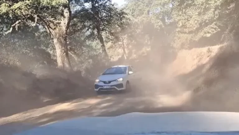 Una advertencia del Parque Nacional Lanín sobre la ruta a Quila Quina desató polémica en las redes sociales