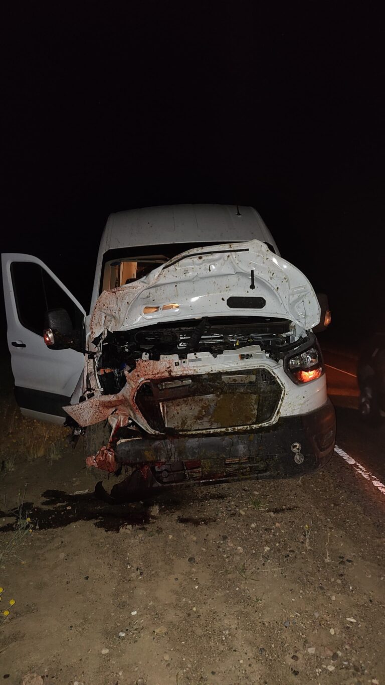 Un equino los impactó en medio de la ruta y de milagro resultaron ilesos