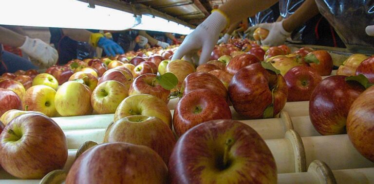 Acuerdo entre Provincia y la Federación de Productores de Frutas