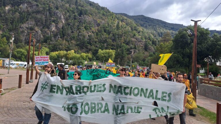 Trabajadores del Parque Nacional Lanín cortaron Ruta 40 por despidos