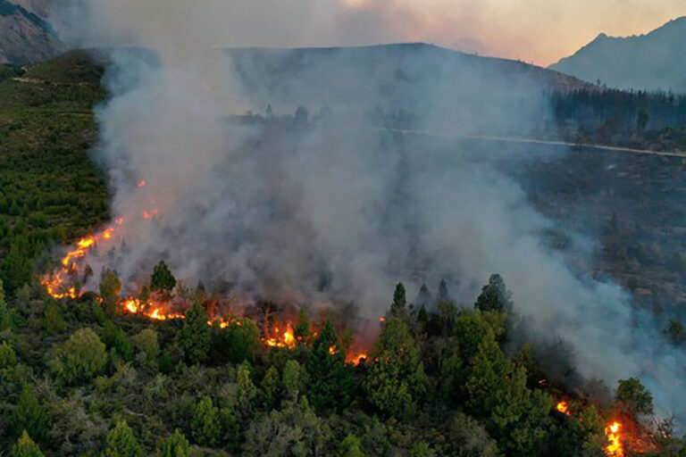 Buscan prohibir el uso del fuego en tierras públicas