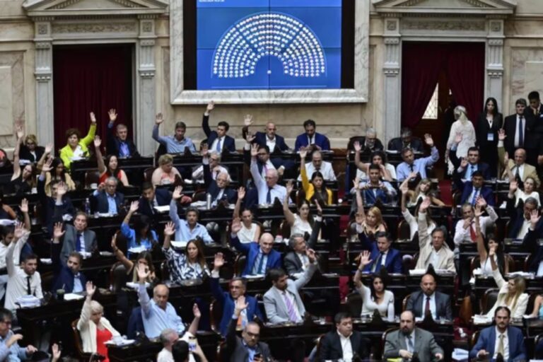 Ley Bases: tras la votación en general, el oficialismo logró aprobar la delegación de facultades al Ejecutivo y las privatizaciones