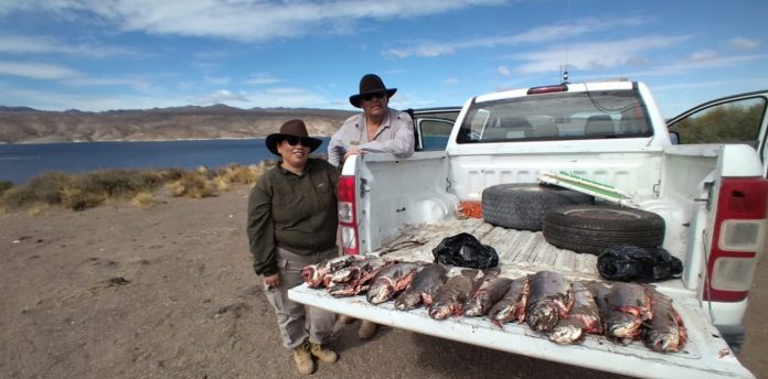Guardafaunas labraron más de 100 infracciones y decomisos
