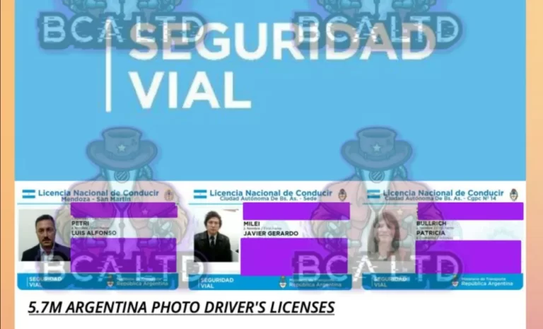 Hackearon la base de datos de todas las licencias de conducir del país y las venden por Internet