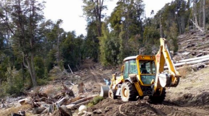 Impacto ambiental: multan por más de $365 millones a cooperativa de Villa Traful