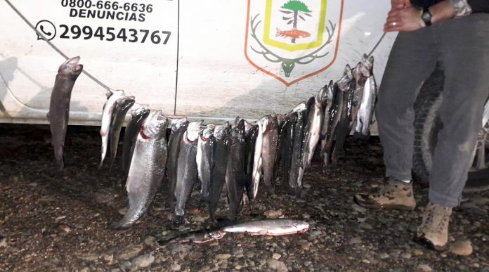 Atraparon in fraganti a pescadores sin permiso en Collón Curá