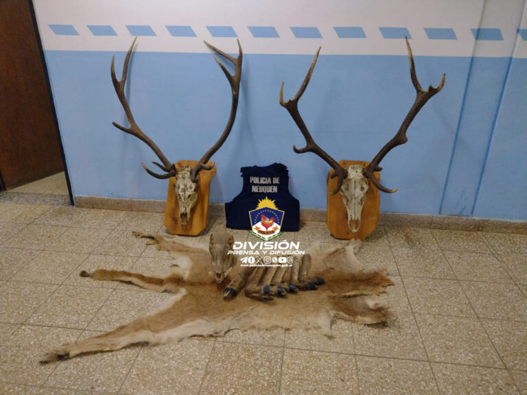 En allanamiento logran secuestrar armas de fuego, piezas de animales por caza furtiva y el detenido tenía orden de captura