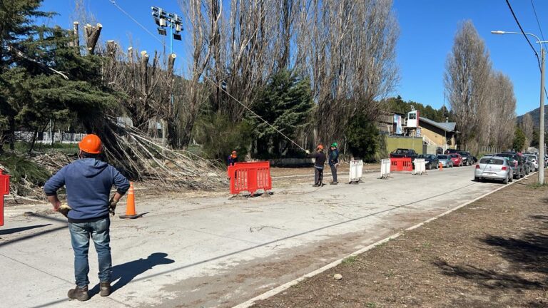 Por poda y apeo, este martes se realizará un corte la calle de acceso al hospital