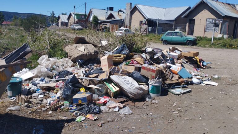 El Municipio realizó este martes la limpieza de un micro basural en Chacra 28