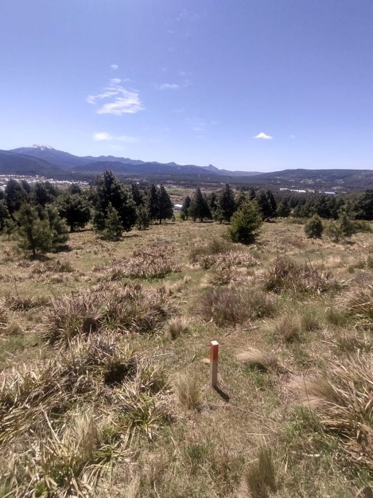 Realizaron las primeras demarcaciones de los 200 nuevos lotes en Chacra 30
