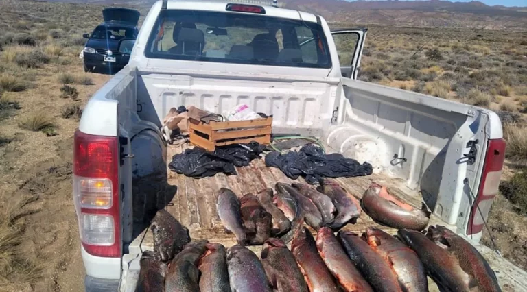 Pesca furtiva: Fauna incautó 98 truchas en Piedra del Águila