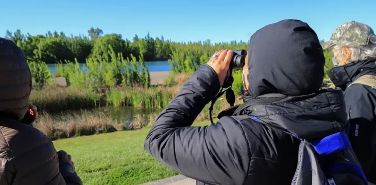 Neuquén se prepara para el evento mundial de observación de aves