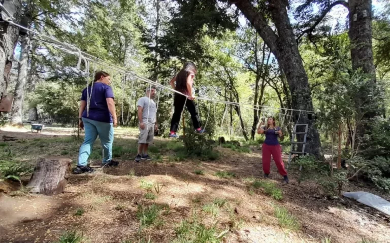 Las Plantas de Campamentos Educativos están funcionando a pleno
