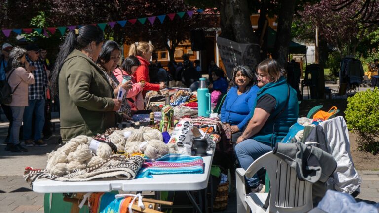 Con presencia de vecinas, vecinos y turistas, se realizó el Encuentro de Tejedoras del Neuquén