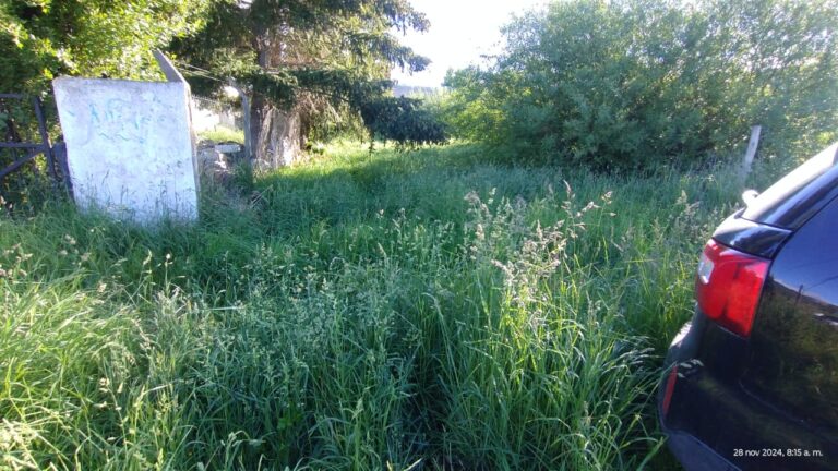 El Municipio comenzó con el desmalezamiento de lotes particulares y recuerda las obligaciones de sus propietarios