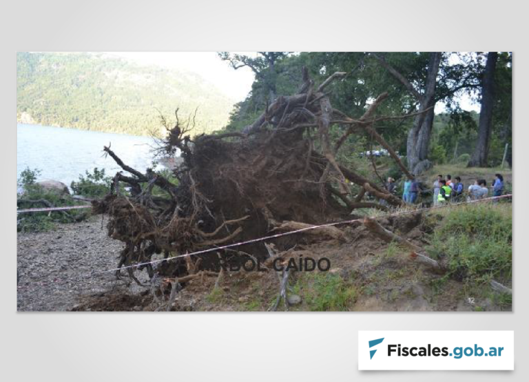 Nuevo juicio por la tragedia de Lolen: «hoy estamos más fuertes que nunca y sabemos que hay responsables»