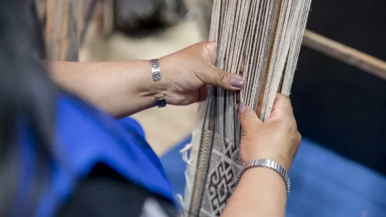 Se viene la cuarta Feria de Artesanos y Productores de la comunidad mapuche Linares