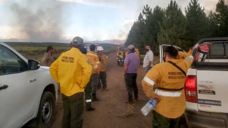 Incendios forestales: amplio despliegue para combatir el fuego en distintos puntos de la provincia