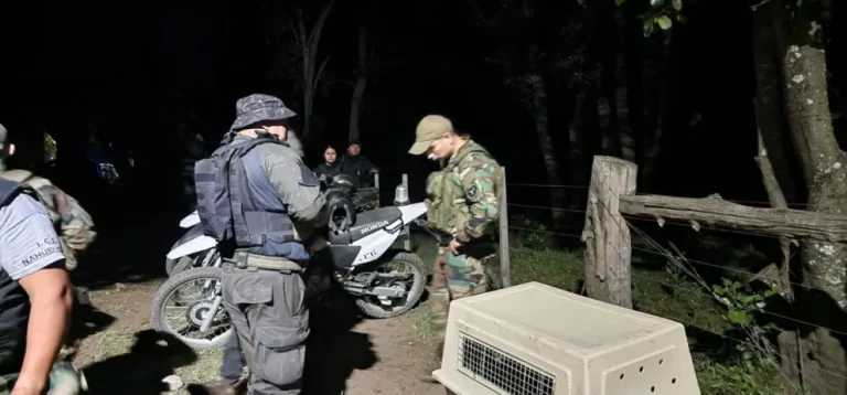 Apareció Bautista el nene de 3 años que era intensamente buscado en Bariloche