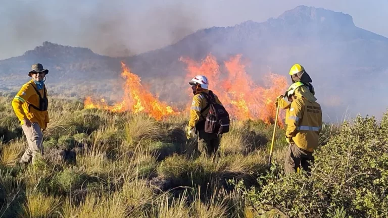 Brigadistas sumarán apoyo aéreo para combatir focos activos